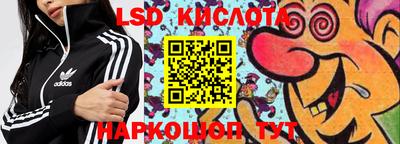 спиды Сланцы