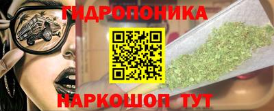 спиды Сланцы