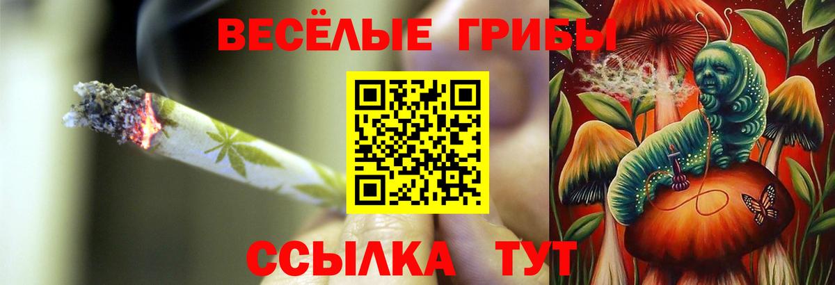 Галлюциногенные грибы MAGIC MUSHROOMS  Галлюциногенные грибы Psilocybe  Вход с VPN  Новый Уренгой 